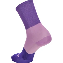 Calze Santini Big Bengal - Viola