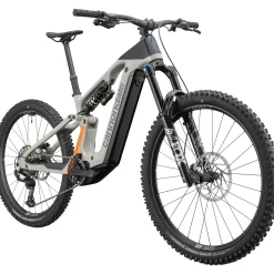 Cannondale Moterra Carbon LT 1 - Grigio