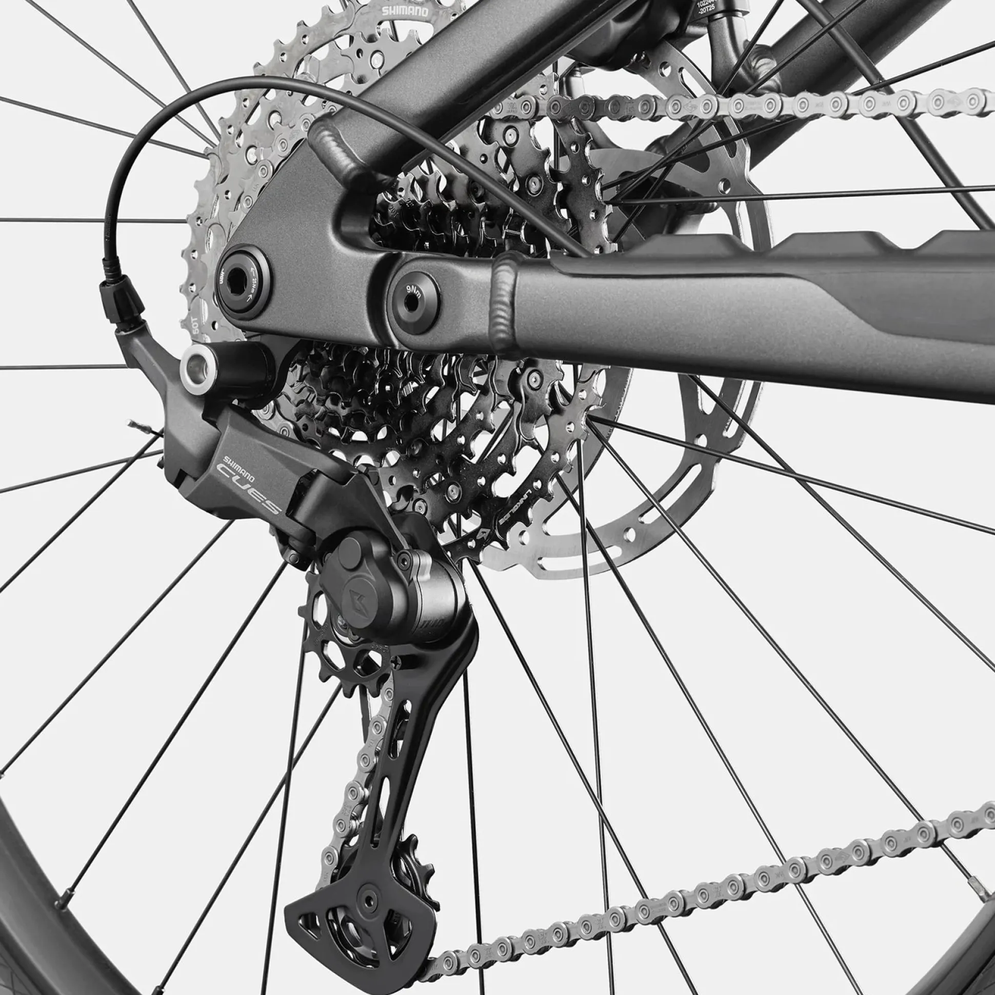 Cannondale Moterra 4 Plus - Grigio scuro
