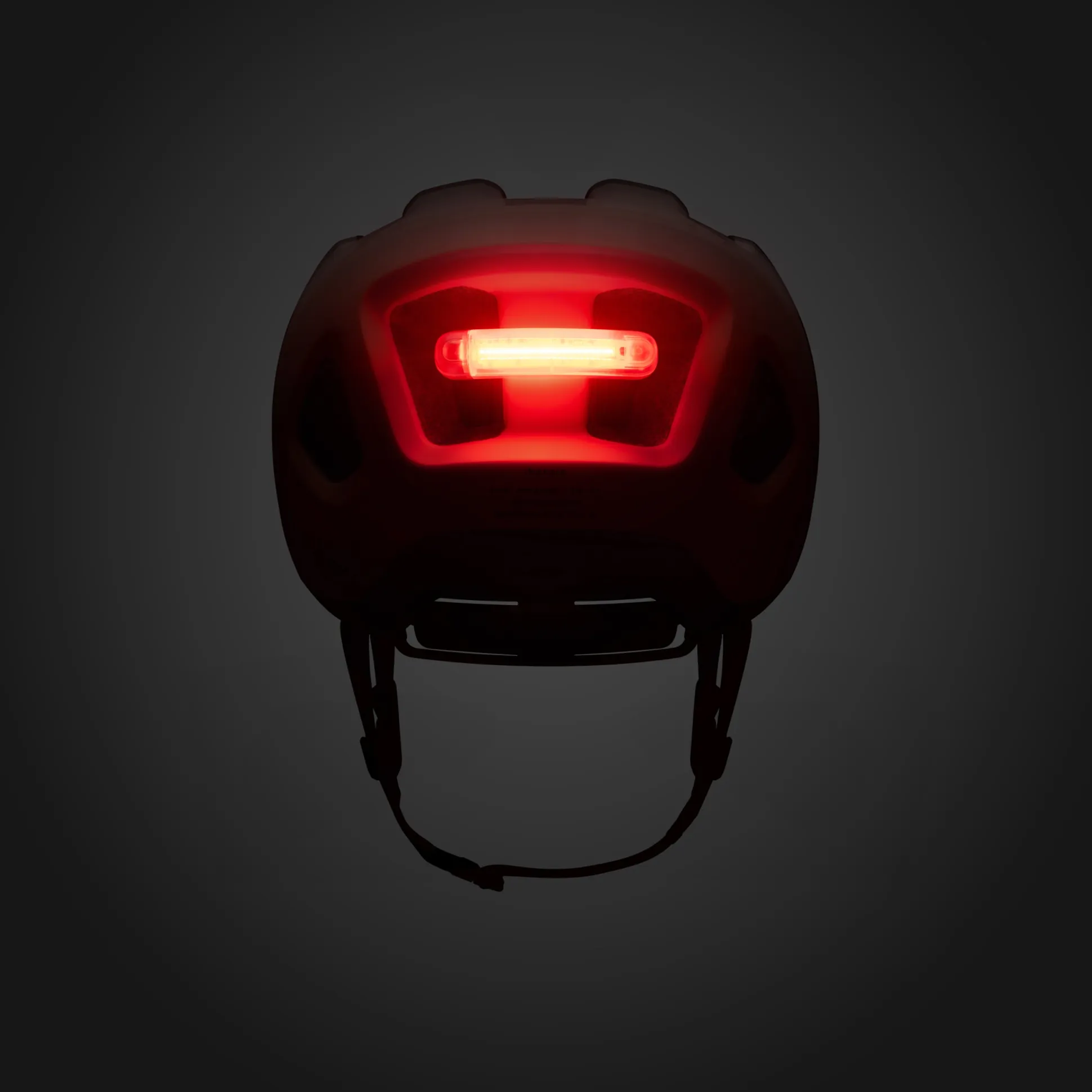 Casco Fizik Kassis - Marrone
