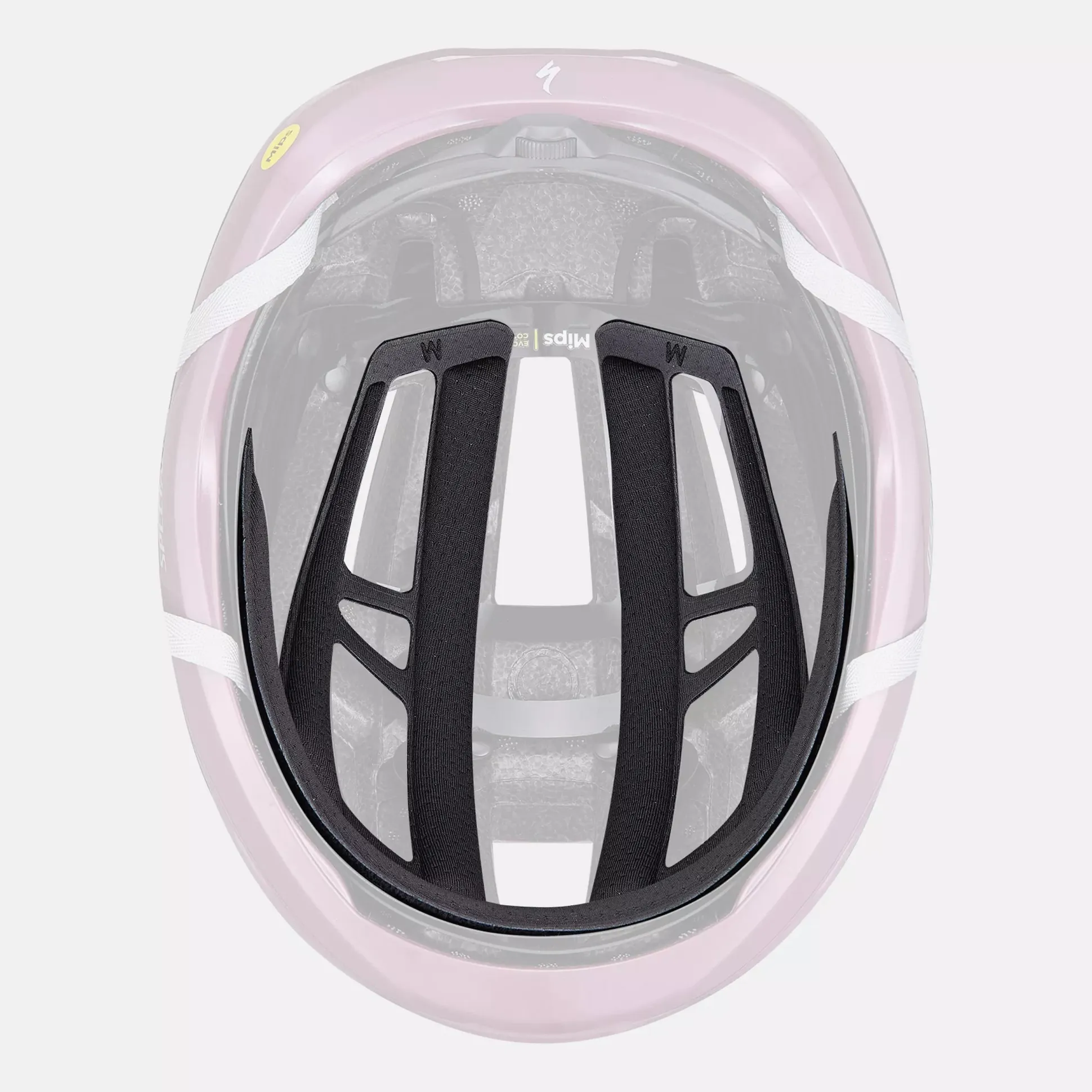Casco Specialized Search - Viola