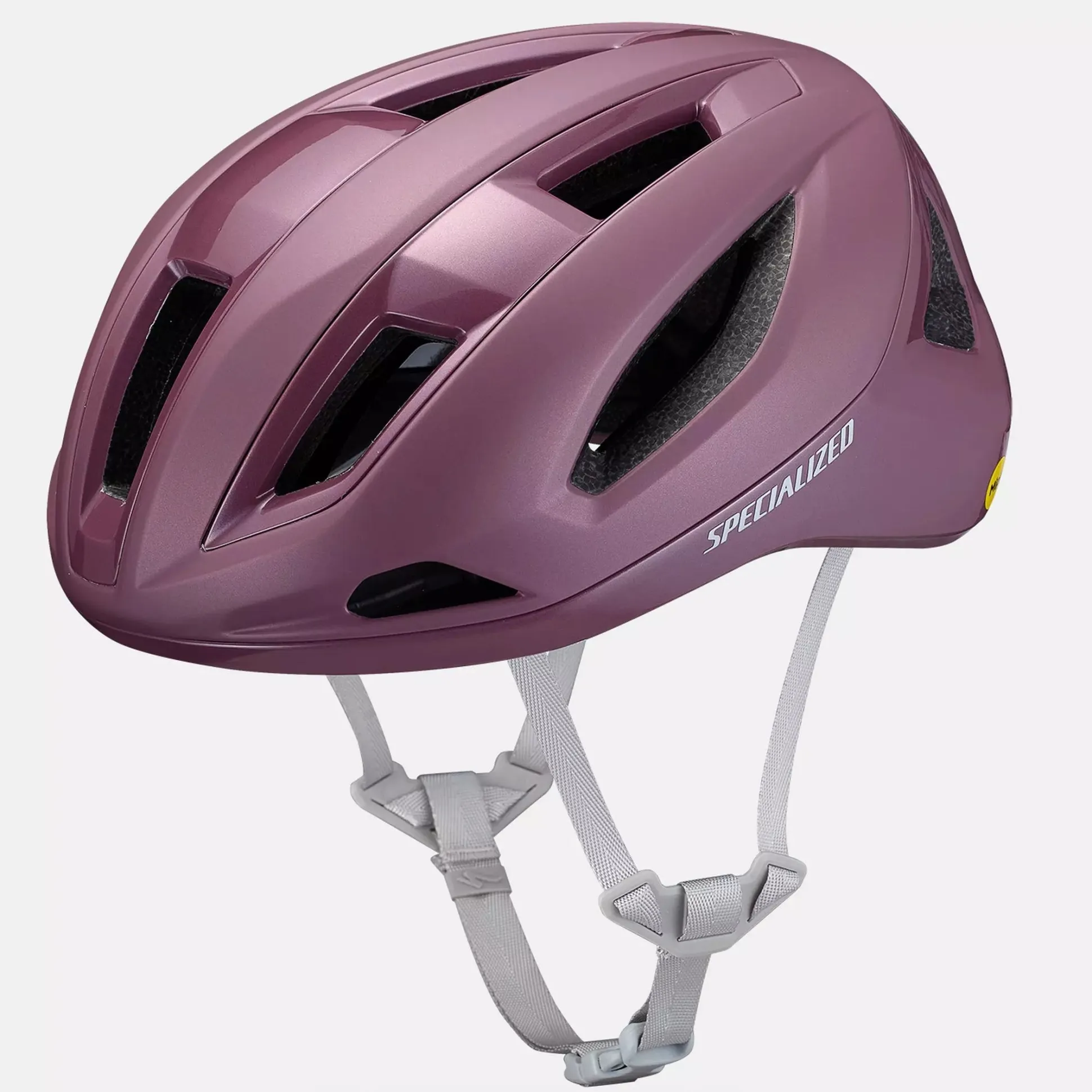 Casco Specialized Search - Viola