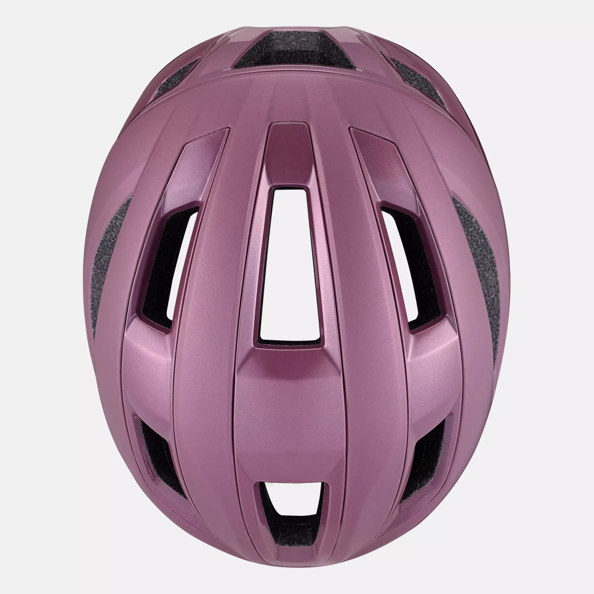 Casco Specialized Search - Viola
