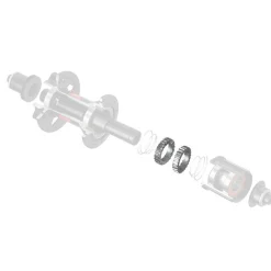 Kit manutenzione Dt Swiss Ratchet System SL 54T
