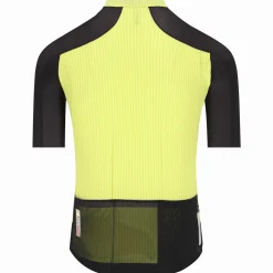 Maglia Q36.5 Dottore Clima Pro - Verde