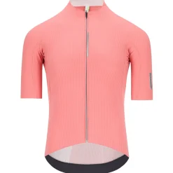 Maglia Q36.5 Dottore Pro - Rosa
