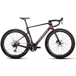 Orbea Terra Race M20LTD - Viola