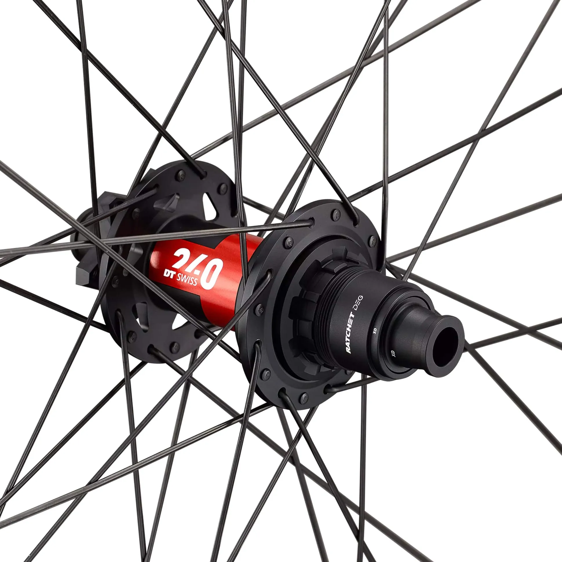 Ruota Posteriore Roval Traverse HD 240 DEG 6 Bolt