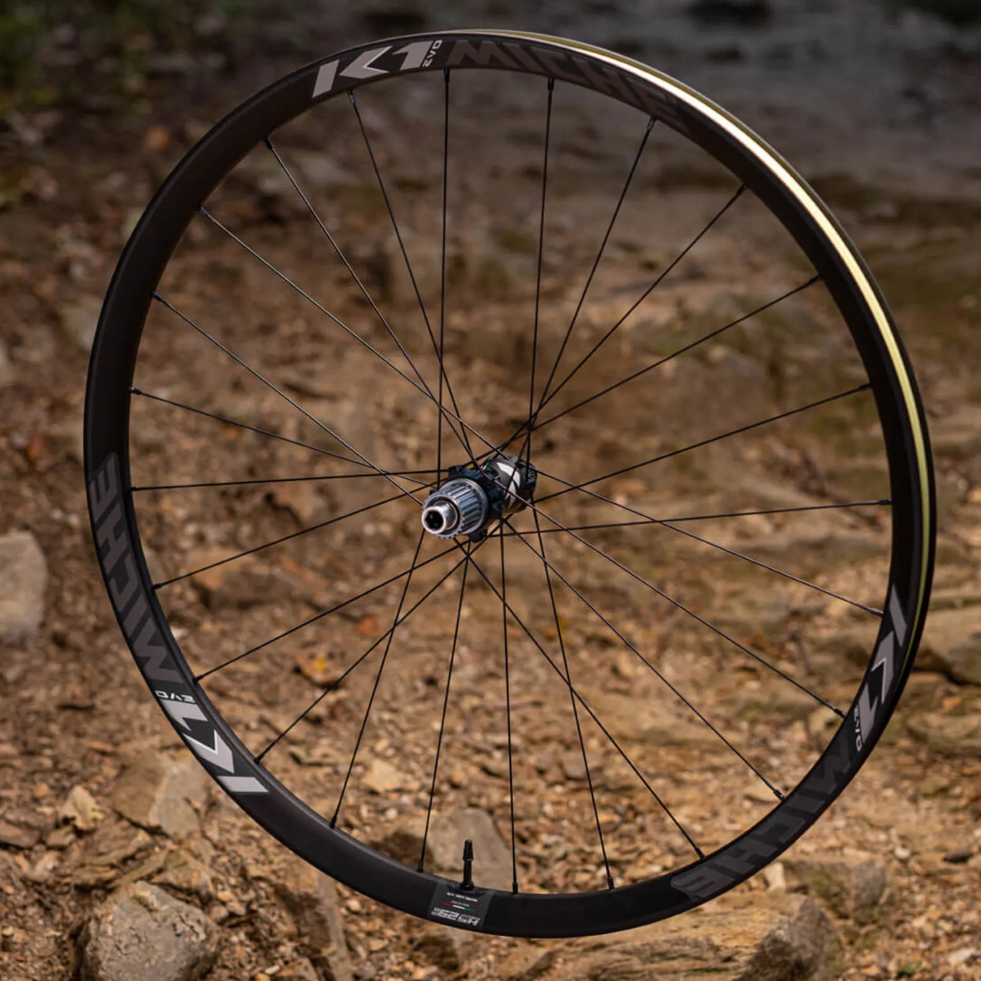 Ruote Miche K1 Evo Boost 29 SPLINE Tubeless