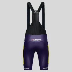 Salopette Gobik Wilier Vittoria 2025 Absolute Print K10