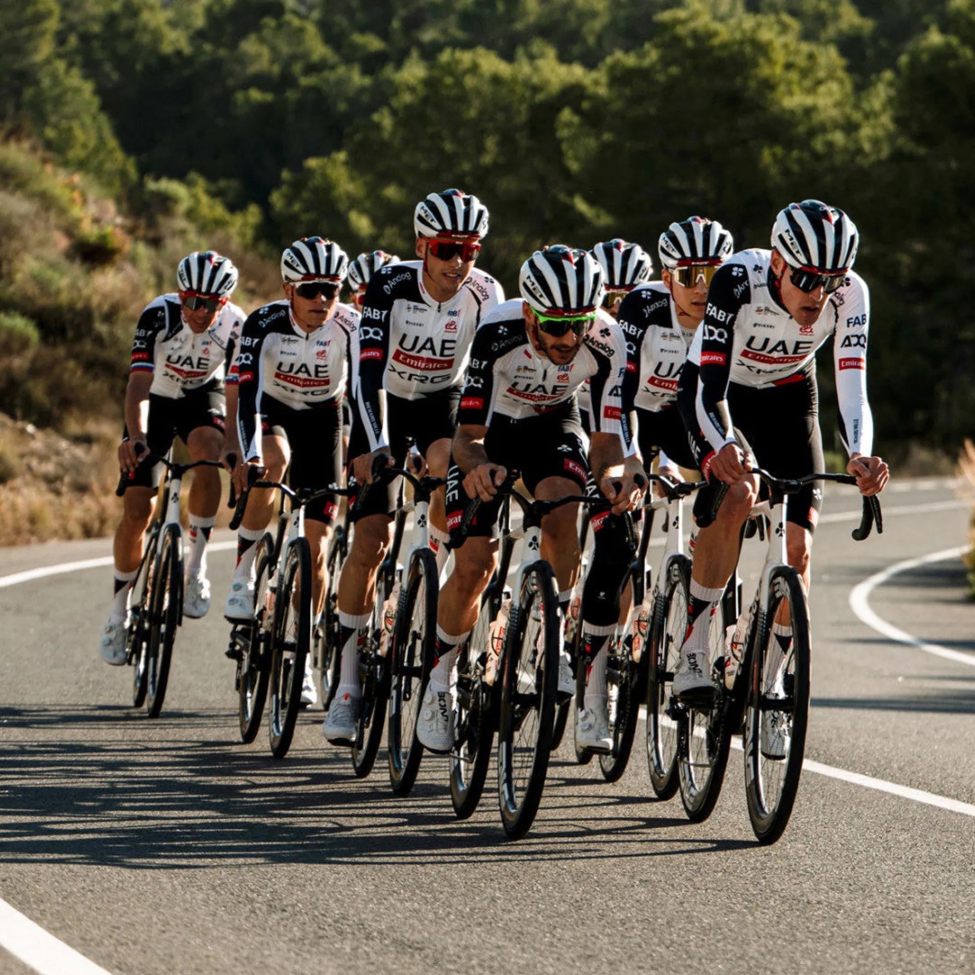 Salopette Pissei UAE Team Emirates - XRG 2026 Magistrale