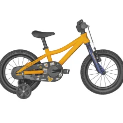 Scott Roxter 14 - Arancio