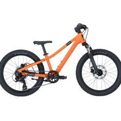 Scott Roxter 200 - Arancio