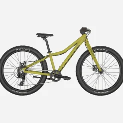 Scott Roxter 24 - Verde