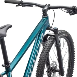 Specialized Rockhopper Expert 29 - Verde scuro