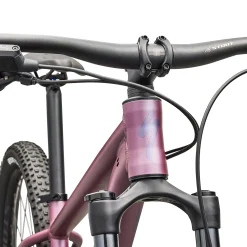 Specialized Rockhopper Expert 29 - Viola
