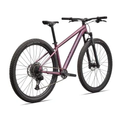 Specialized Rockhopper Expert 29 - Viola