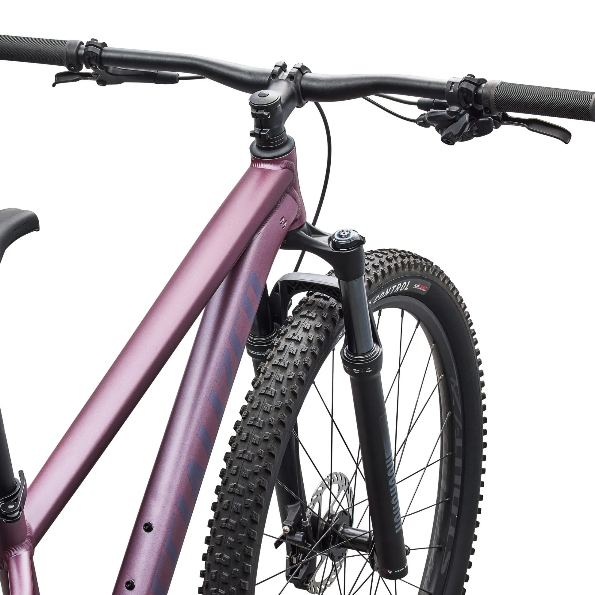 Specialized Rockhopper Expert 29 - Viola