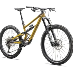 Specialized Status 170 2 - Oro