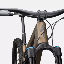 Specialized Stumpjumper 15 Comp - Marrone