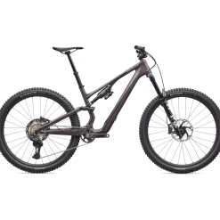 Specialized Stumpjumper 15 EVO Expert Di2 - Viola