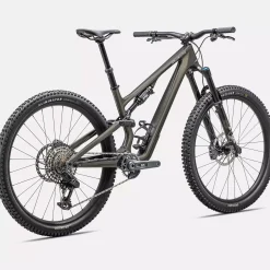 Specialized Stumpjumper 15 Expert - Grigio