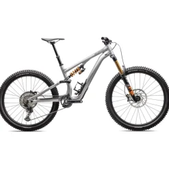 Specialized Stumpjumper 15 Fox Coil Alloy - Grigio
