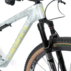 Specialized S-Works Epic WC GX Custom - Grigio