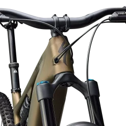 Specialized Turbo Levo 4 Expert - Marrone