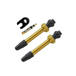 Valvola Barbieri Alloy Gold - 45 mm